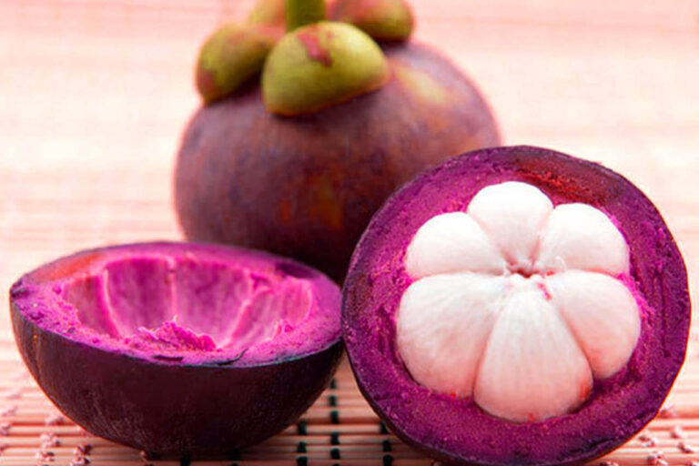 Jangan Dibuang Ketahui 6 Khasiat Kulit Manggis Untuk Kecantikan Kesehatan Hingga Pengobatan