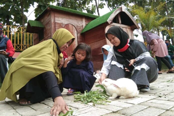 Rekreasi dan Edukasi Tempat Wisata di Cepu yang Cocok Untuk Liburan Akhir Tahun Bareng Family