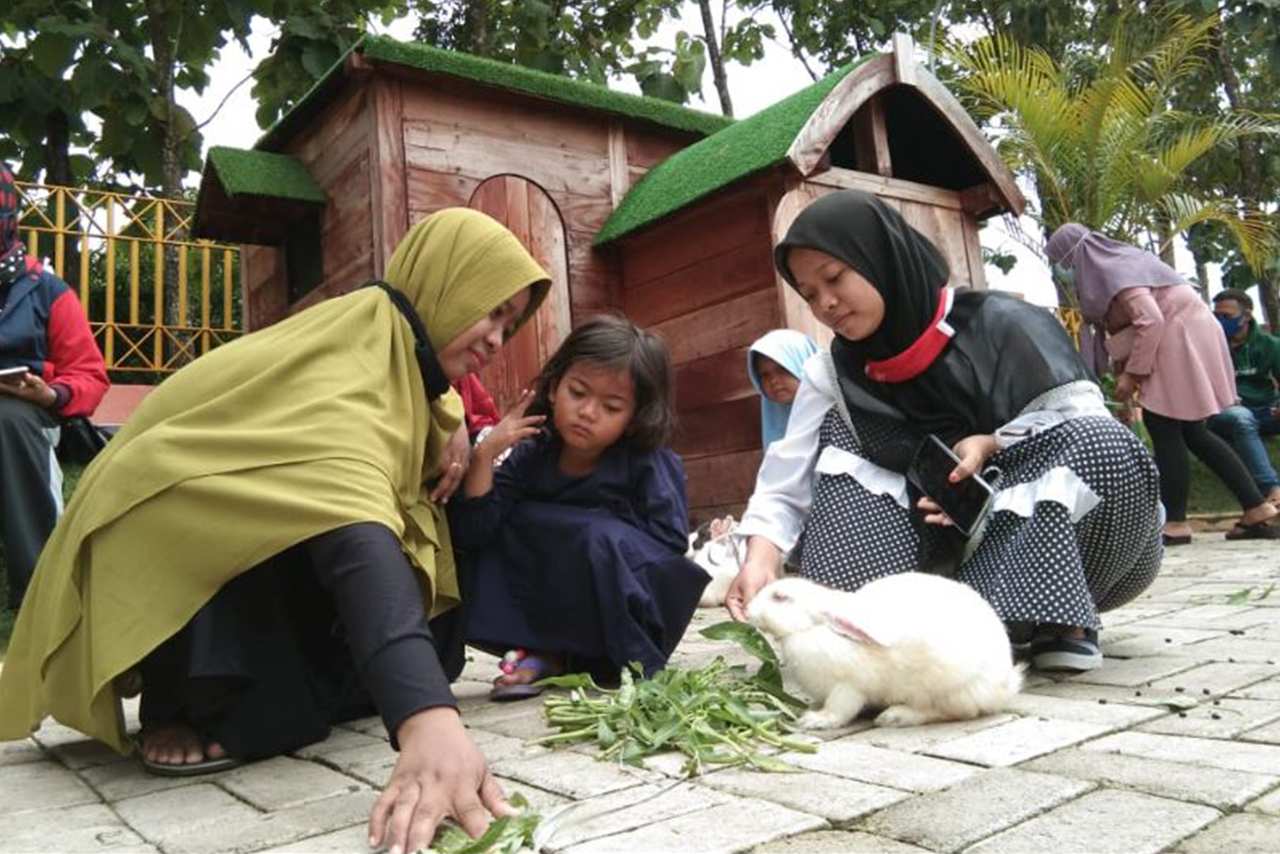 Rekreasi dan Edukasi Tempat Wisata di Cepu yang Cocok Untuk Liburan Akhir Tahun Bareng Family